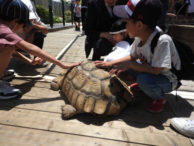 「みんなで楽しく レッツ!リトミック ~」「ミニ動物園 ビジョナリーアーZooの杜」
