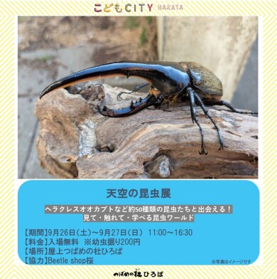 ヘラクレスオオカブトなど約50種類の昆虫たちと出会える!見て・触れて・学べる昆虫ワールド