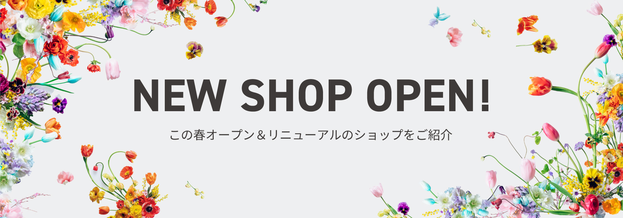 NEW SHOP OPEN