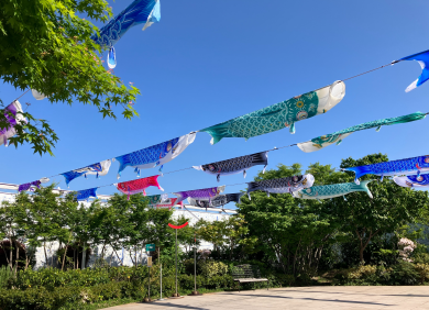 杖立温泉こいのぼり祭り