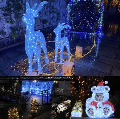 【11月1日スタート】屋上つばめの杜ひろばイルミネーション「光のバラと夜空のどうぶつたち」