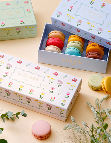 『ラデュレ』3月4日(水)~3月17日(火) 期間限定オープン!@いっぴん西通り