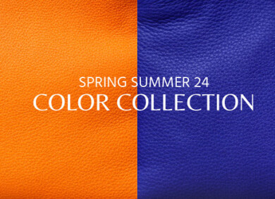 COLOR COLLECTION 　入荷のお知らせ。